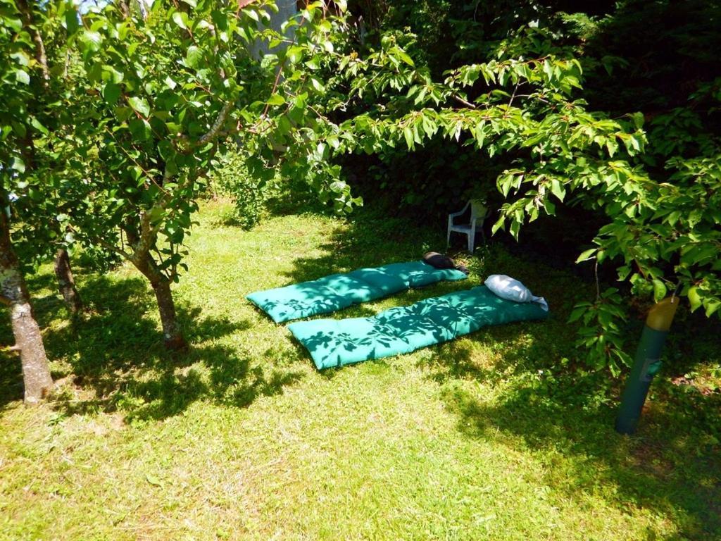 2 Chambres Et Salle De Bain Un Oasis De Bien Etre Piscine Et Jardin Direct Gare Aeroport Tuluza Zewnętrze zdjęcie